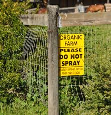 Organic farming for organic wine
